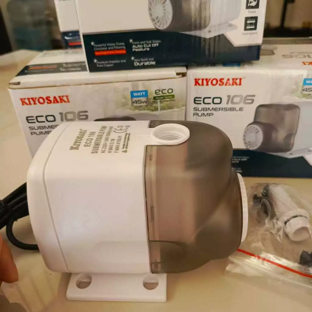 Kiyosaki ECO 106
